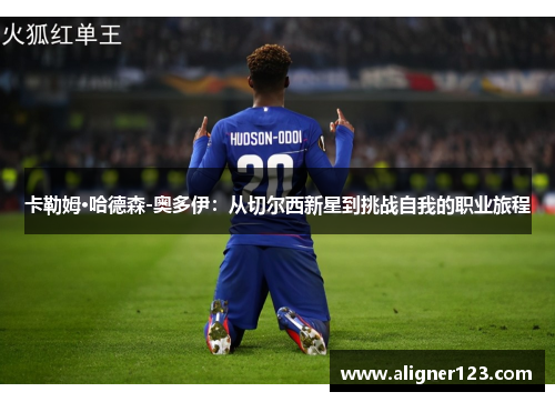 卡勒姆·哈德森-奥多伊：从切尔西新星到挑战自我的职业旅程