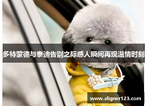 多特蒙德与泰迪告别之际感人瞬间再现温情时刻 多特蒙德与泰迪告别之际感人瞬间再现温情时刻