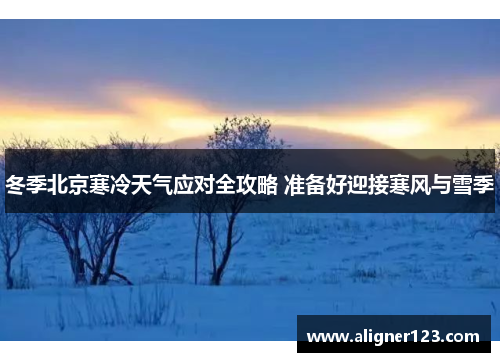 冬季北京寒冷天气应对全攻略 准备好迎接寒风与雪季 冬季北京寒冷天气应对全攻略 准备好迎接寒风与雪季
