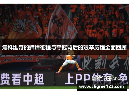 焦科维奇的辉煌征程与夺冠背后的艰辛历程全面回顾 焦科维奇的辉煌征程与夺冠背后的艰辛历程全面回顾